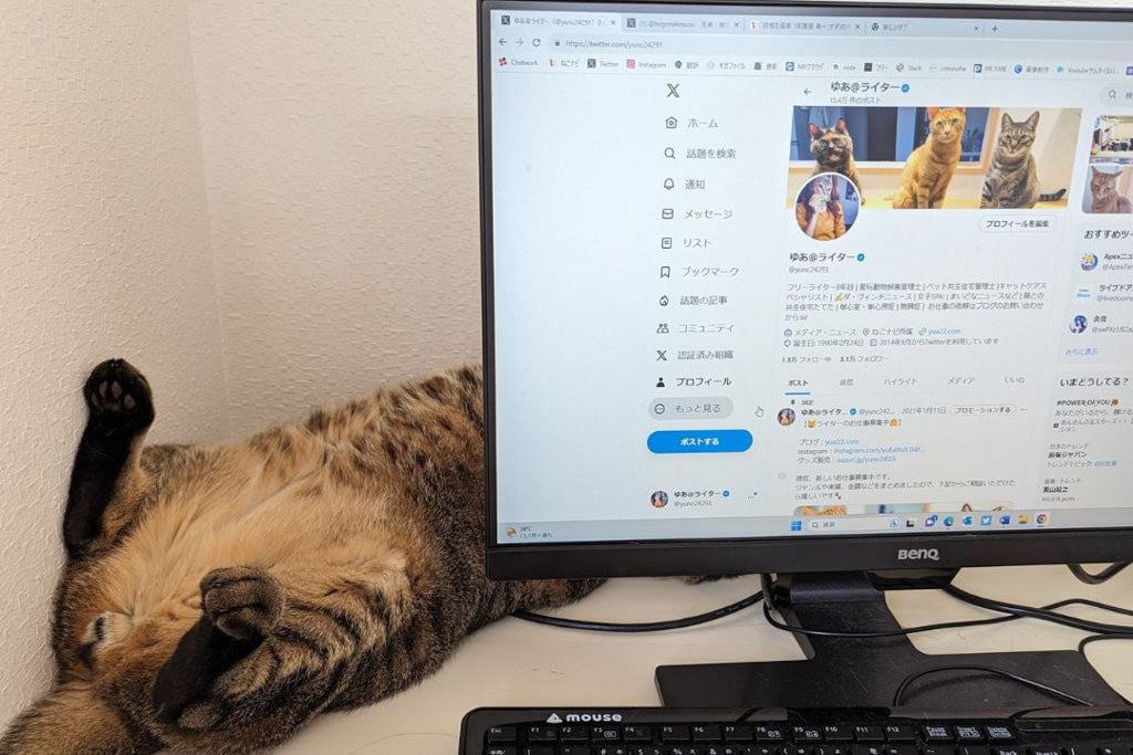 そこで、私はパソコンの左横に空けていたスペースをやや広くし、猫が寝転べるようにプチ工夫。