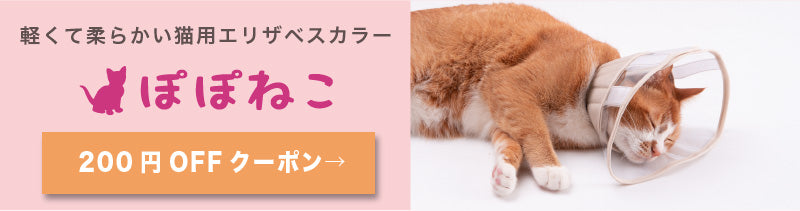 軽くて柔らかい猫用エリザベスカラーなら「ぽぽねこ」