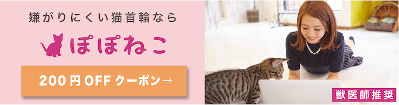 ペット探偵 藤原博史さんに聞く 迷子の猫の探し方 脱走の防ぎ方 ぽぽねこの読みもの ぽぽねこ公式オンラインショップ