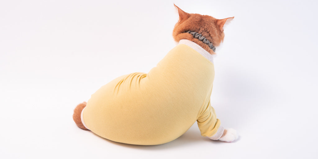 過剰グルーミングから皮膚を守る猫用皮膚保護服