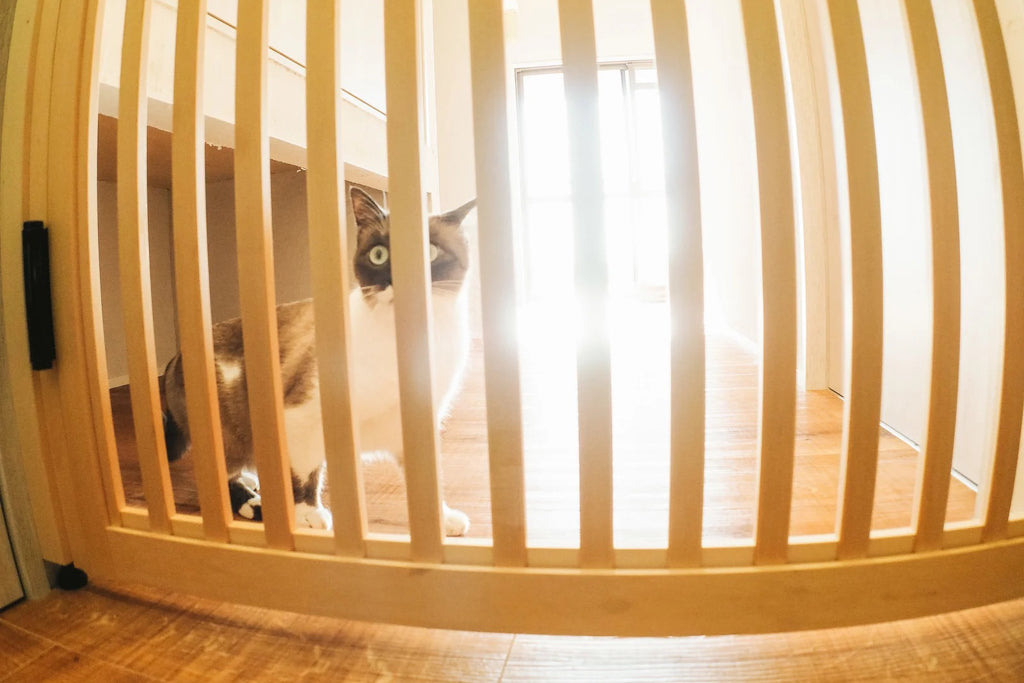 猫をキッチンに上がらせない効果的な侵入防止策とは？