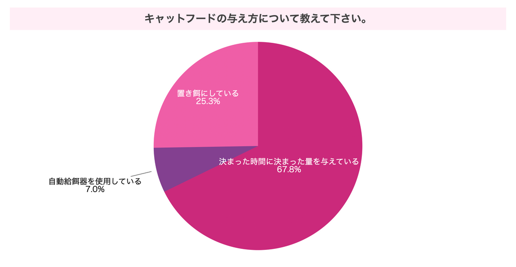 キャットフードの与え方について教えて下さい。