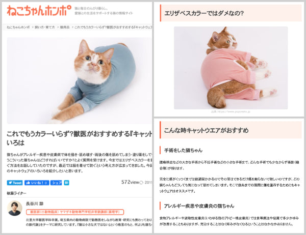 獣医師が推奨する「皮膚保護専用の猫服」