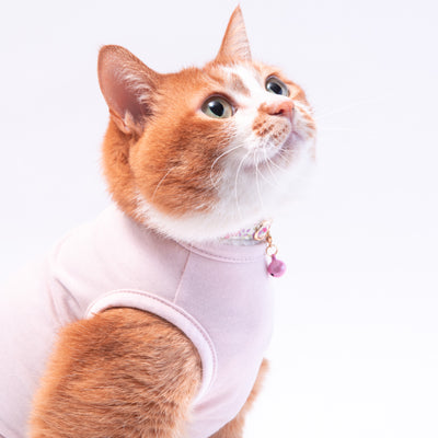 愛猫の秋冬スタイルに欠かせない猫服「防寒キャットウォーム」がすごい 