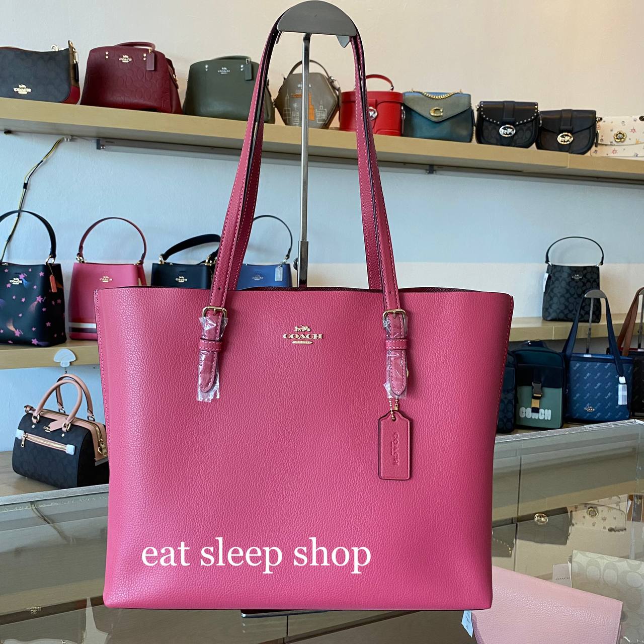 Coach mollie tote