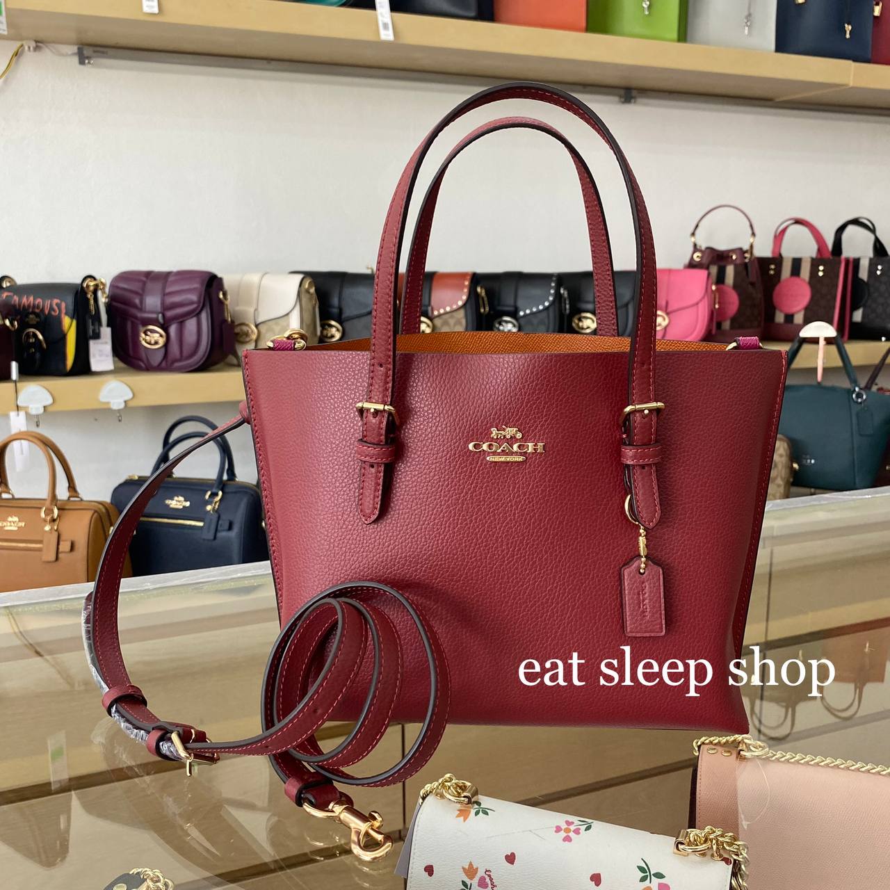 coach mollie 25 tote