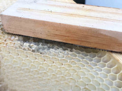 Queen bee cage set at 45 degrees with a clearance between honey comb and the cage mesh