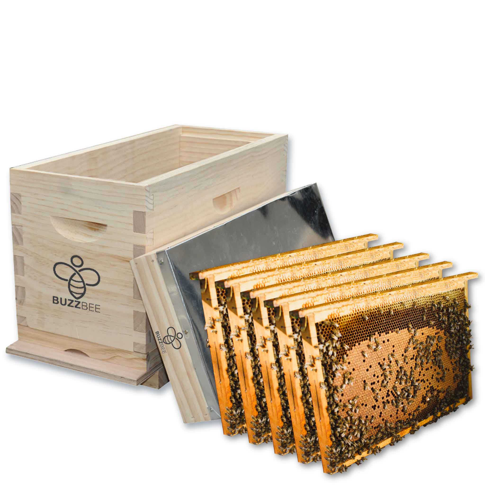 Buzzbee 5 Frame Honey bee wooden NUC beehive