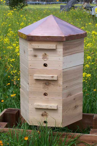 Hex Hive from thanknature.com