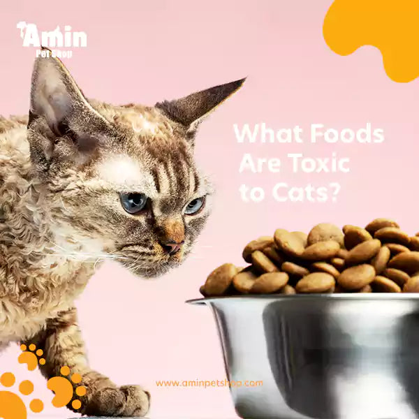 What Foods Are Toxic to Cats?