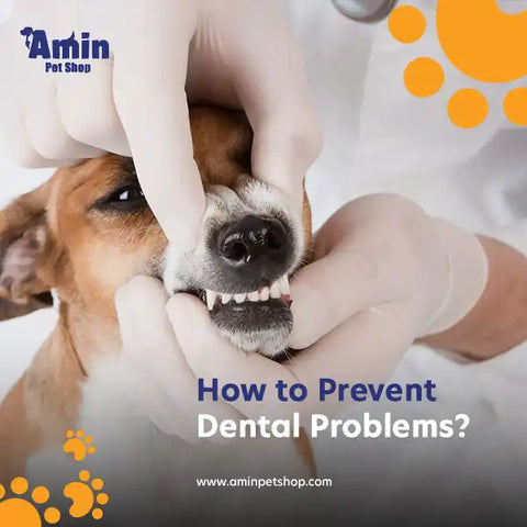 How to Brush Puppy Teeth Without Biting