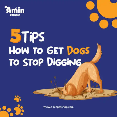 How to get dogs to stop digging