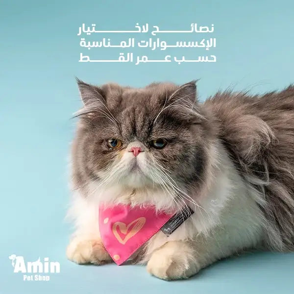 اكسسوارات القطط الشيرازى