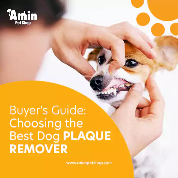 Best Dog Plaque Remover