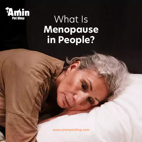 What Is Menopause in People?