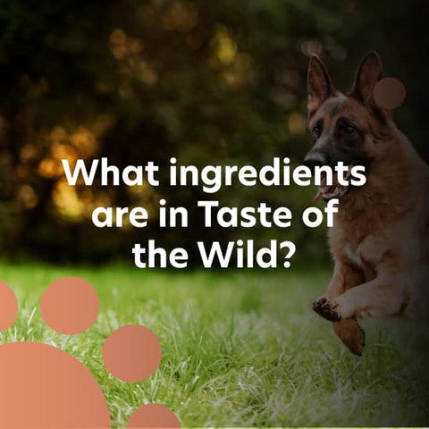 ingredients in Taste of the Wild