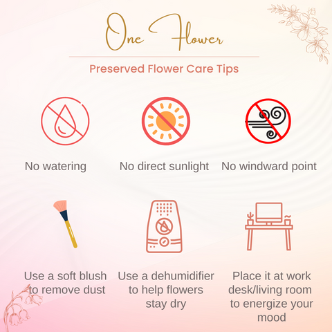 one flower preserved flower care tips