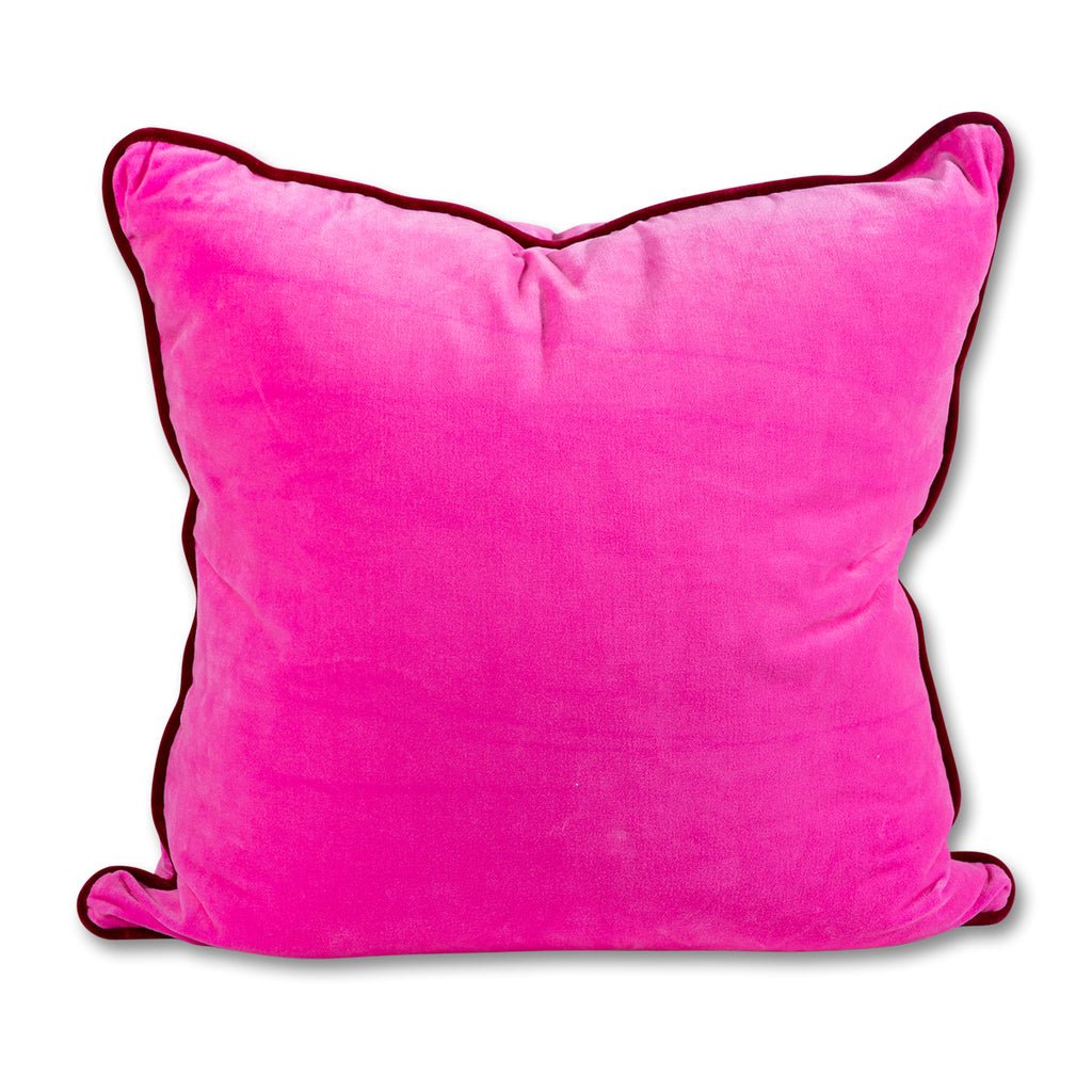 Velvet clearance pink pillow