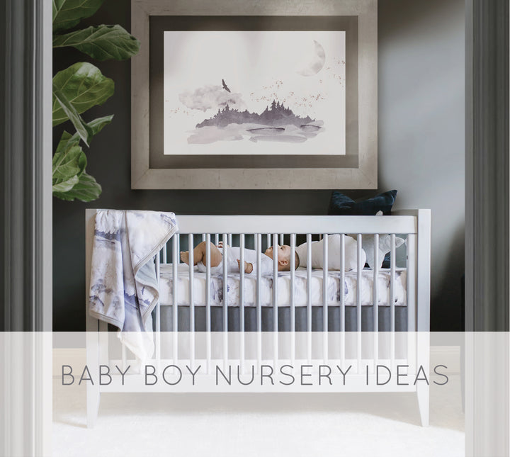 5 Fun Baby Boy Nursery Ideas Oilo