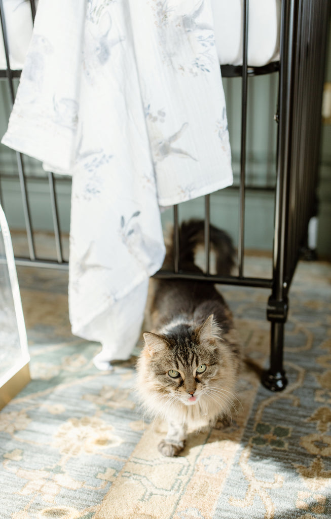 cat standing under a crib with Oilo Cottontail swaddle blanket hanging over the edge