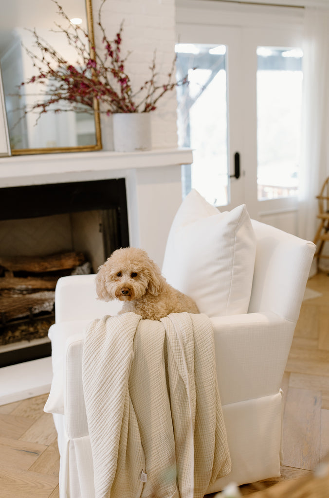 golden doodle dog on Zoey glider with muslin throw blanket