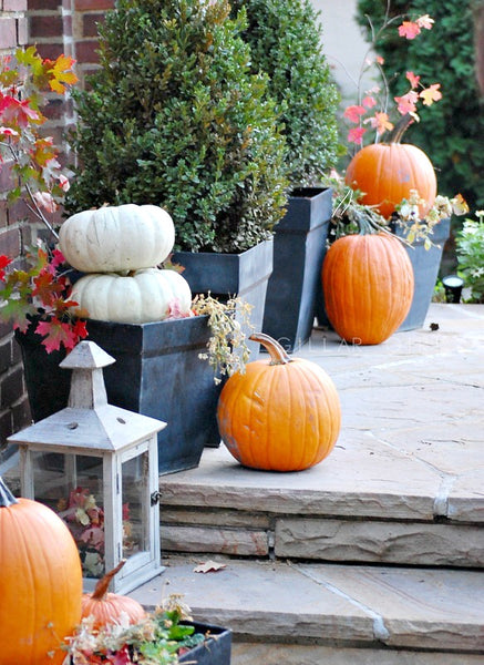 Decorating Your Home For Autumn – Oilo