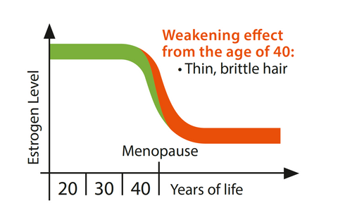 The hormone balance influences hair growth