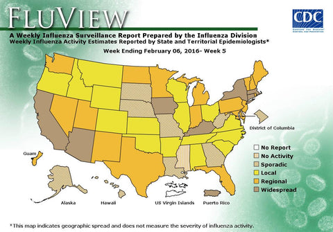 US Flu Map Feb 6