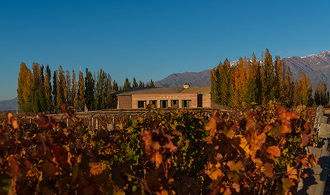 Vinho Portillo - Bodegas Salentein