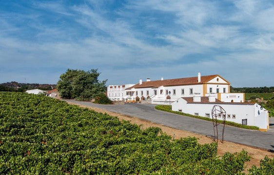Adega Cartuxa - Vinhos de Portugal