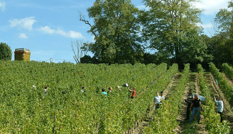 Château La Croix Calendreau Bordeaux Supérieur