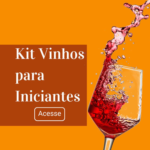 Kit Vinhos para Iniciantes