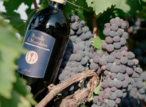 Vinho Brunello di Montalcino La Fuga DOCG