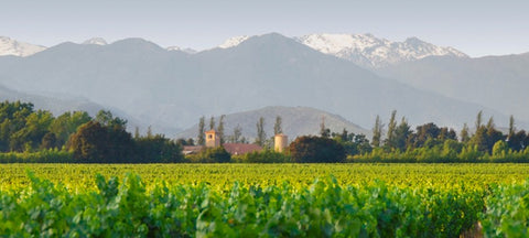 Vinho Château Los Boldos Chileno