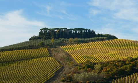 Vinho Italiano da Toscana
