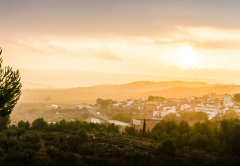 Vinho Espanhol Calabuig