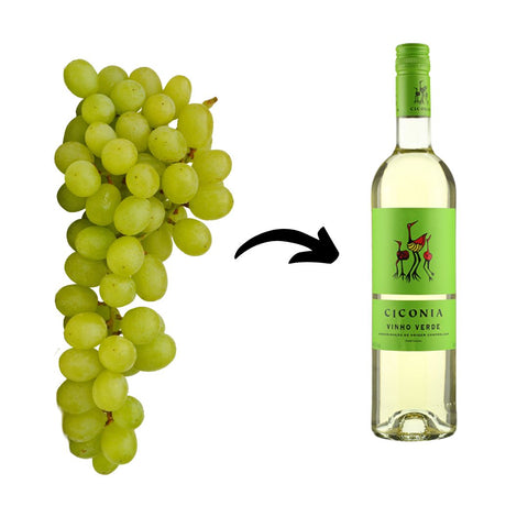 Diferença entre Vinho Tinto e Branco
