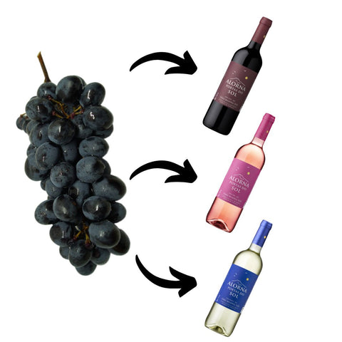 Diferença de vinho branco e tinto
