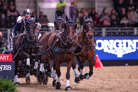 Boyd Exell driving four in hand indoor