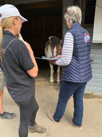 Equine America nutritionist with Park lane stables ponies discussing their diets