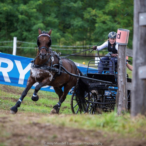 Harriet McEntee driving