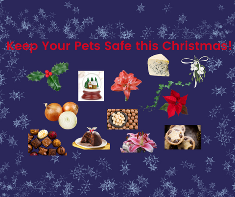 christmas pets hazards