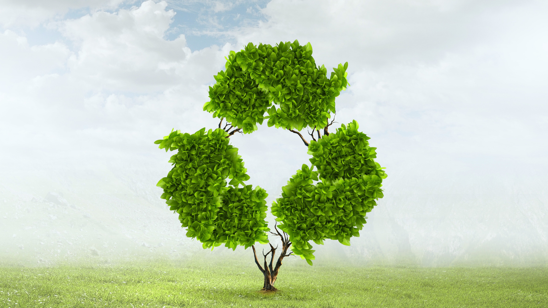 A tree shaped as the reduce, reuse, recycle symbol