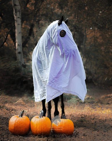 spooky horse
