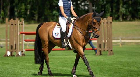 claudia moore show jumping relaxed horse