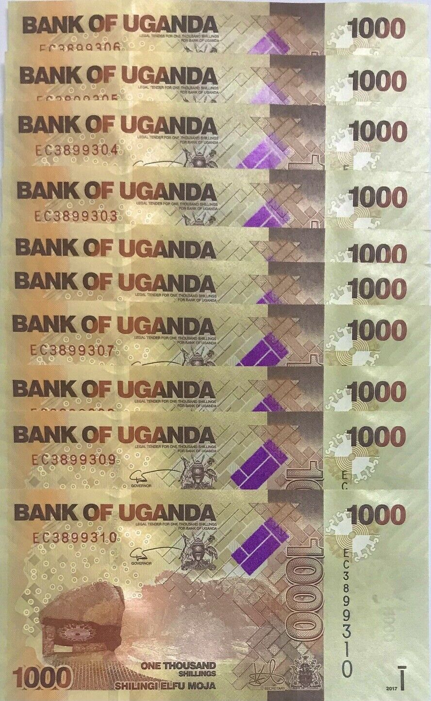 Uganda Set 6 Pcs 1000 2000-50000 Shillings Random Date P 49 50 51