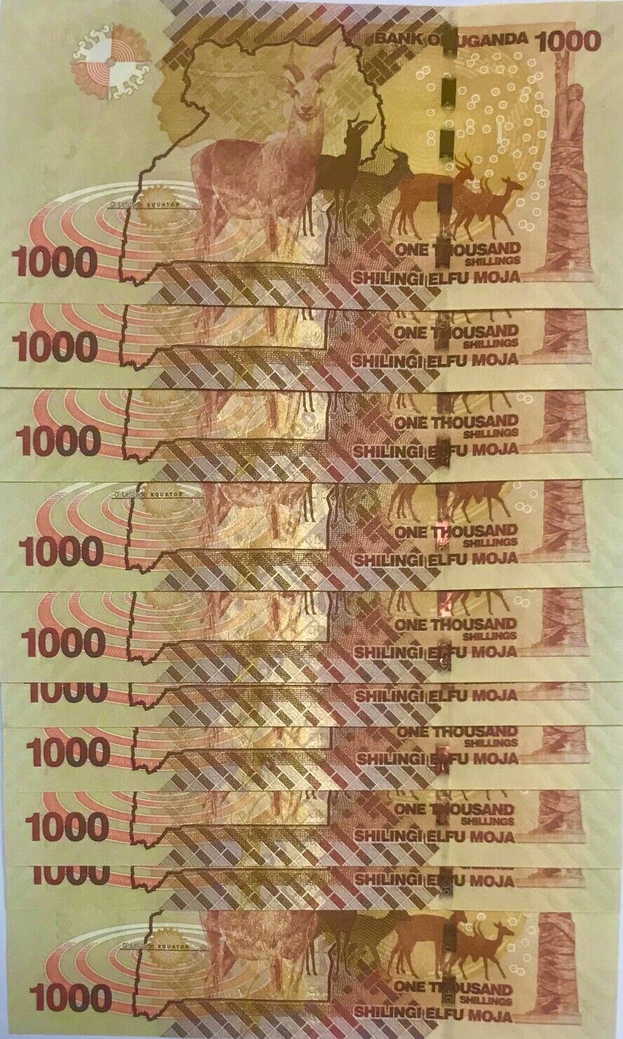 Uganda Set 6 Pcs 1000 2000-50000 Shillings Random Date P 49 50 51