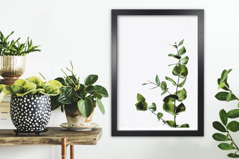 a botanical print for a home office