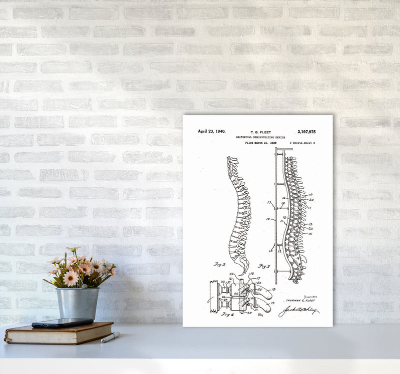 Anatomical Spine Display Patent Art Print by Jason Stanley A2 Black Frame