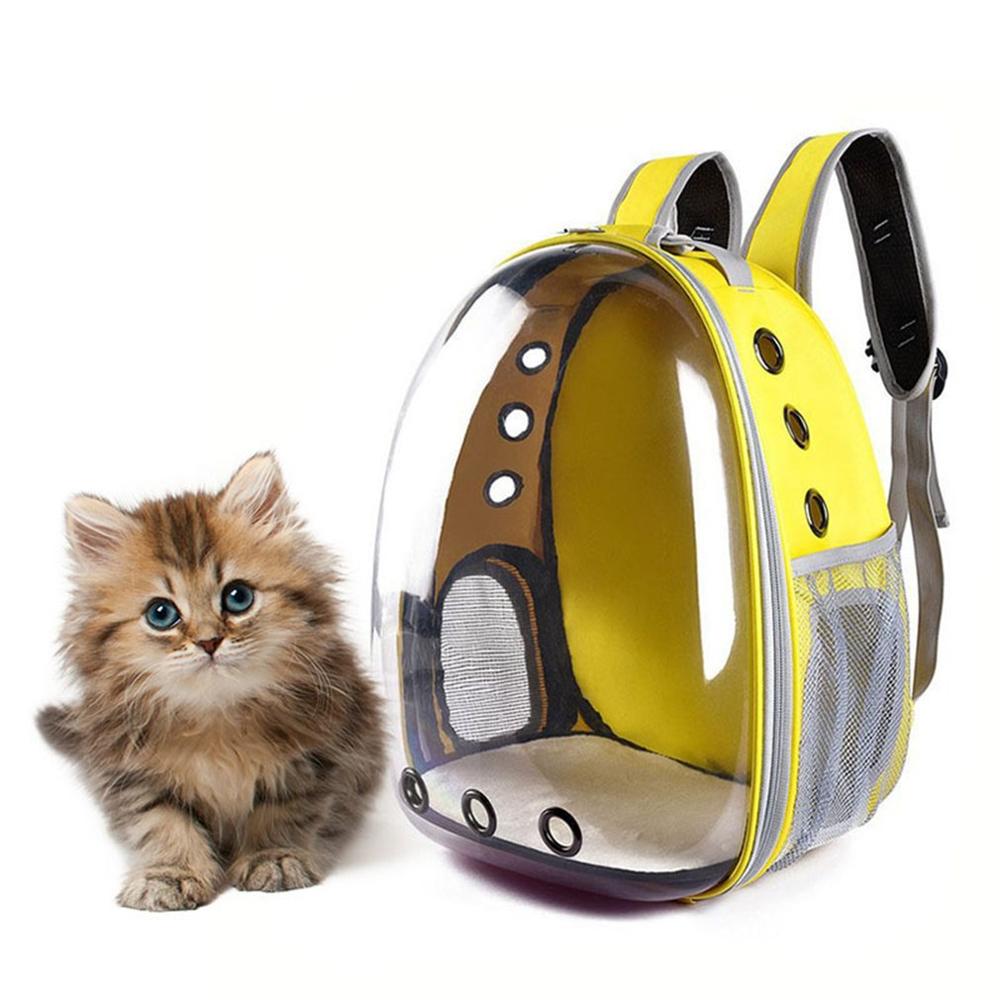 cat clear backpack